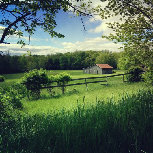 photograph of barn in a lush grassy clearing imprinted on ceramic tile