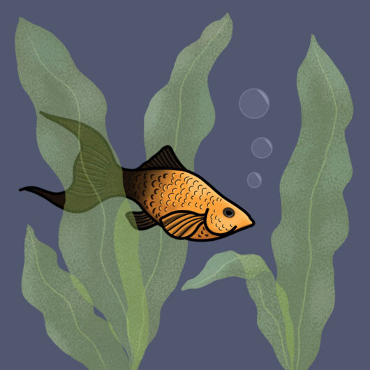 gold and black fish tile